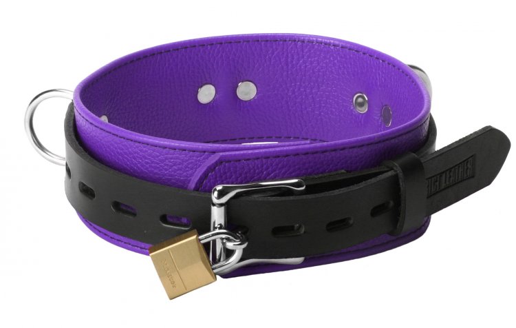 Strict Leather Deluxe Locking Collar - Purple and Black Bondage Gears, Leather Bondage Goods, Collars