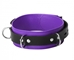 Strict Leather Deluxe Locking Collar - Purple and Black - SL212