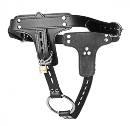 Premium Locking Leather Cock Ring and Anal Plug Harness Anal Toys, Bondage Gear, Cock Rings, Leather Bondage Goods, Metal Cock Rings, Leather Strap-On and Harness, Multiple Penetration Strap-On and Harness