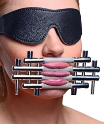 Stainless Steel Lips and Tongue Press Beginner Bondage, Bondage Gear, Handcuffs and Steel